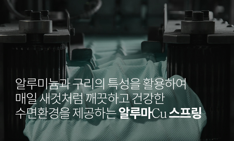 알루마Cu 스프링