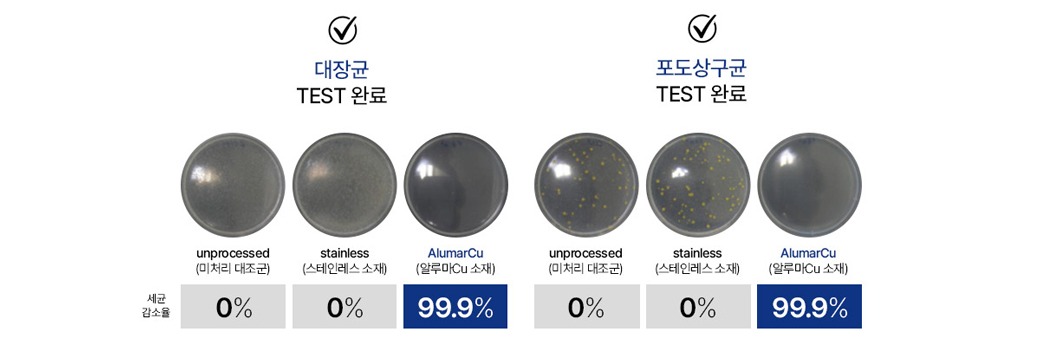 항균 활성 테스트 결과 — 대장균·포도상구균 99.9% 감소