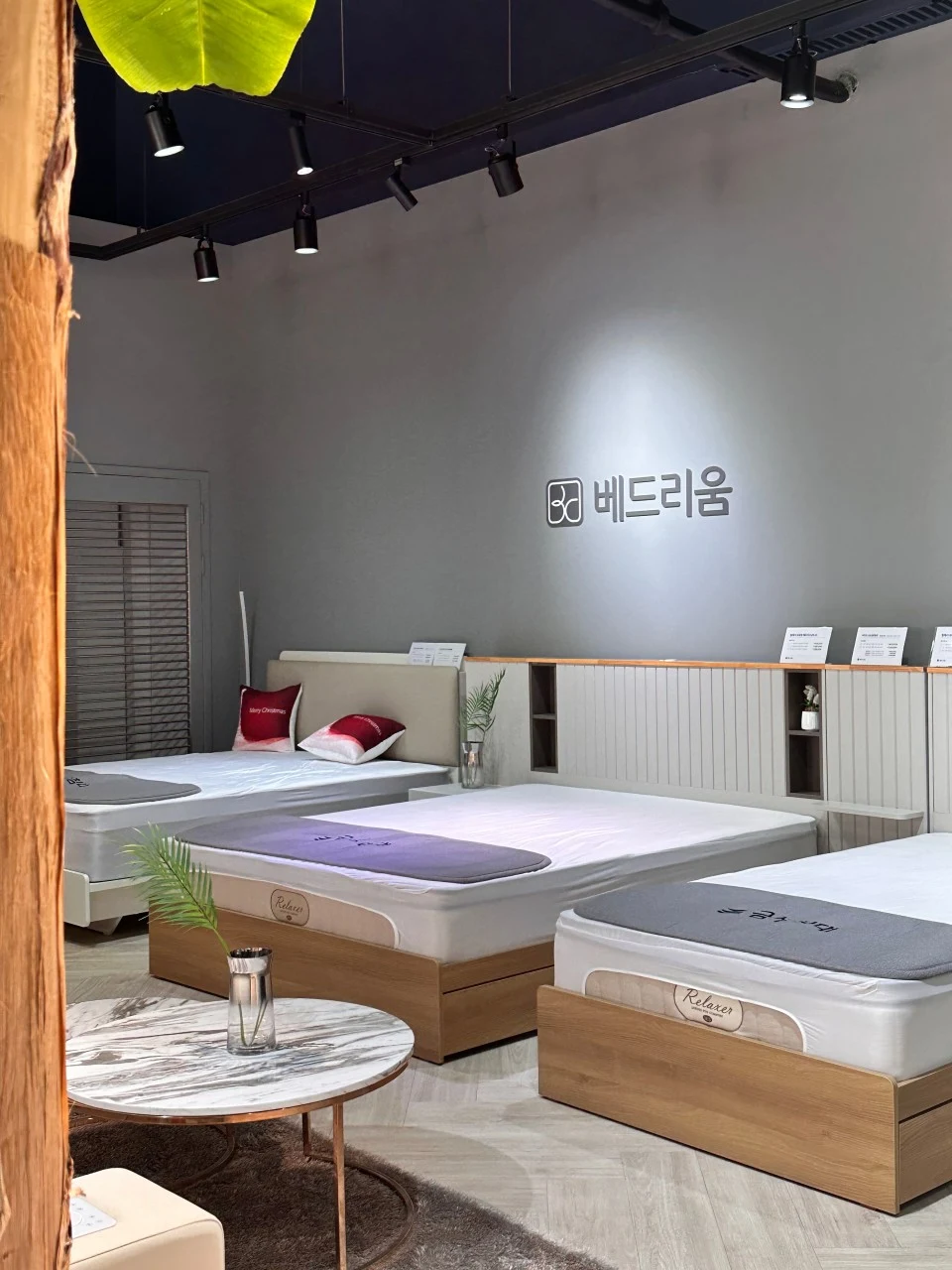 베드리움 전시존